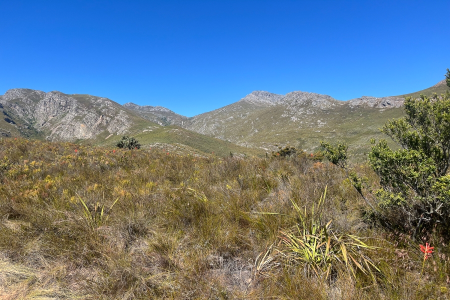 0 Bedroom Property for Sale in Franschhoek Rural Western Cape
